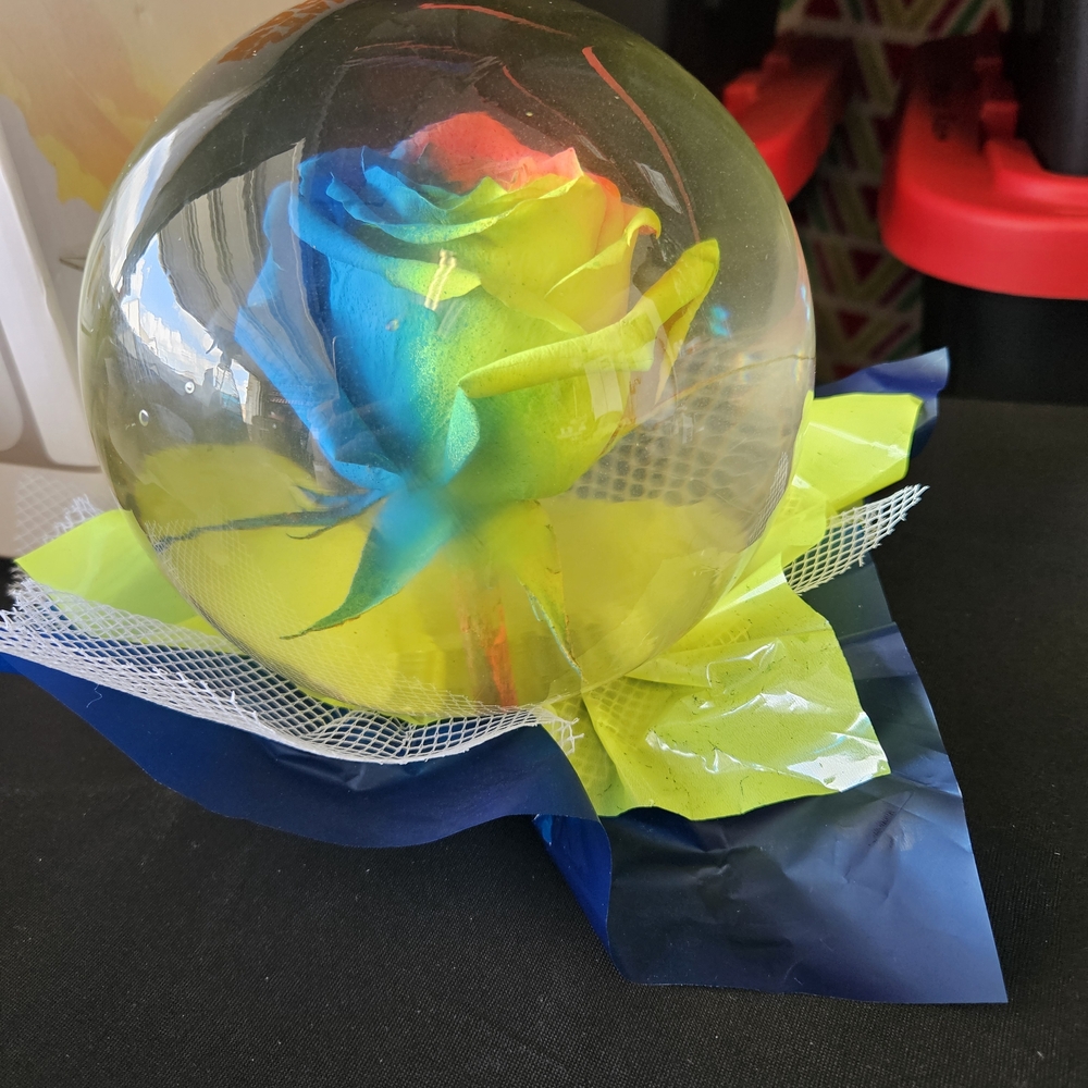 Multicolor Preserved Rose in Clear Dome – Home Party Supplies